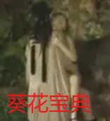 《葵花宝典》：听说练了它就能...